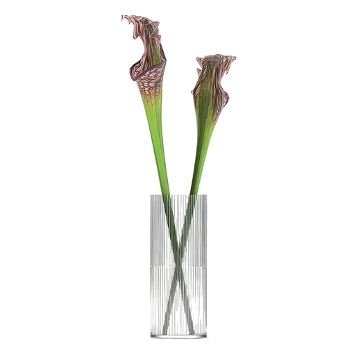现代花艺