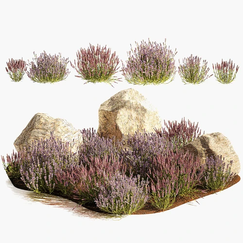 现代植物景观