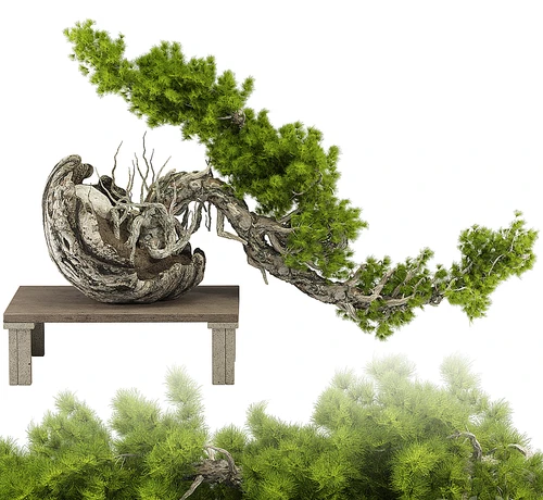 新中式盆栽