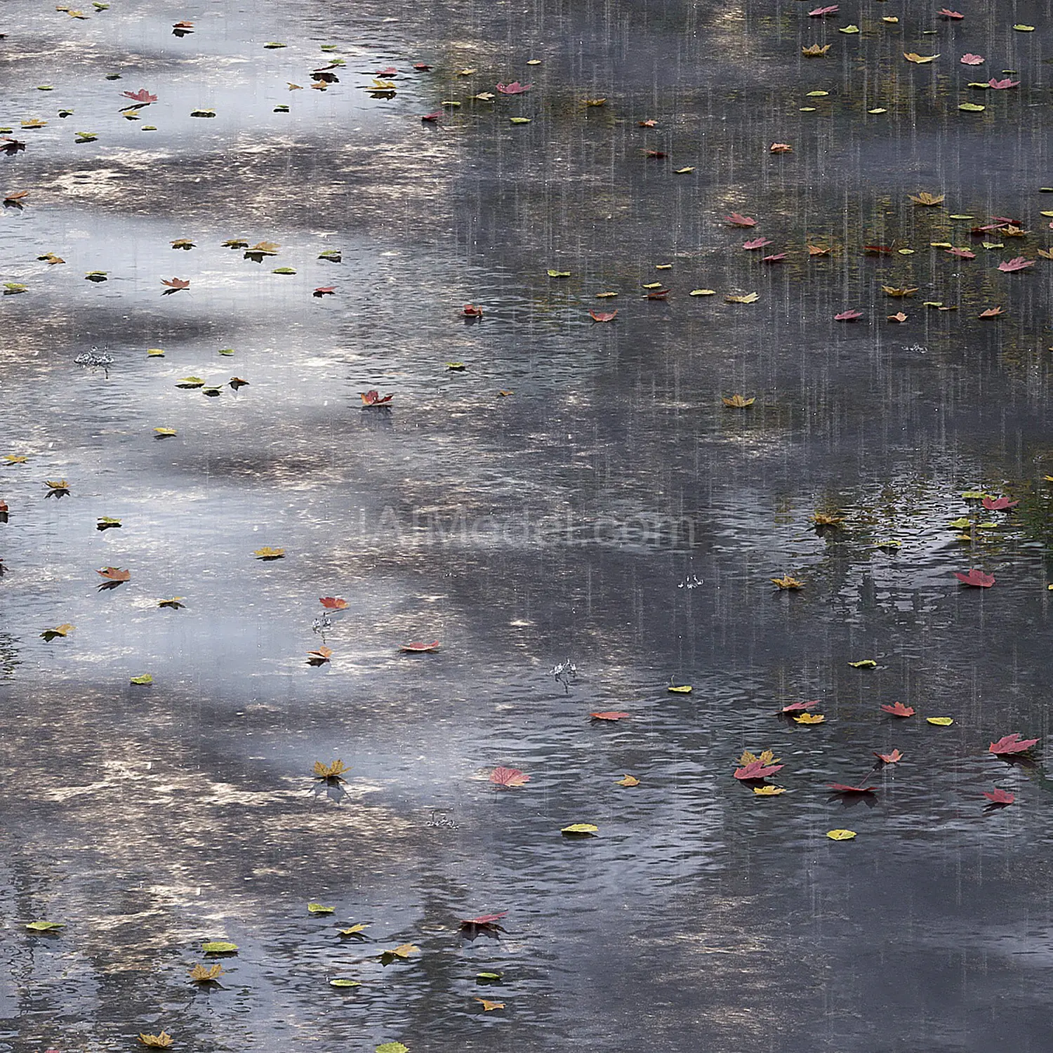 img2