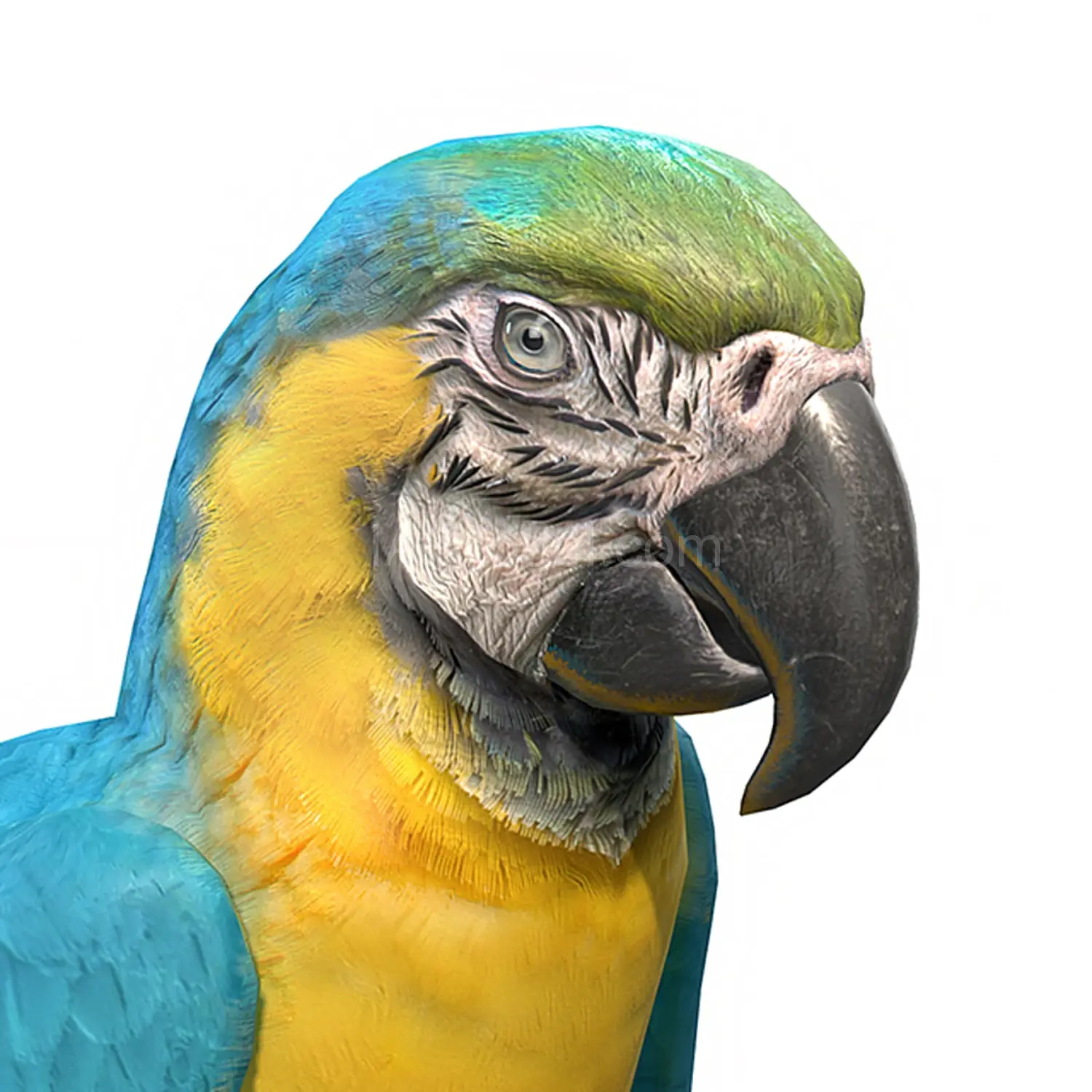 img2