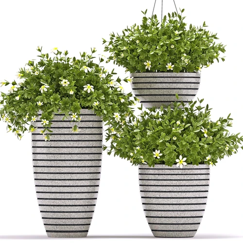 现代植物盆栽