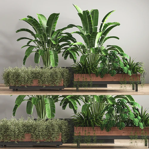 现代盆栽植物池