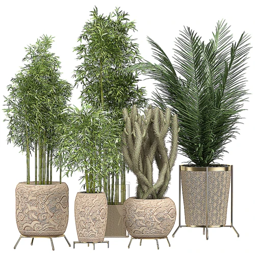 现代绿植盆栽竹子