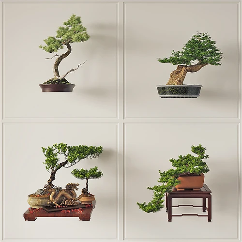 中式松树盆景盆栽