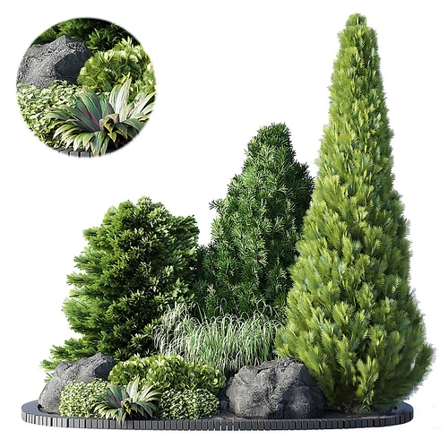 现代植物堆景观