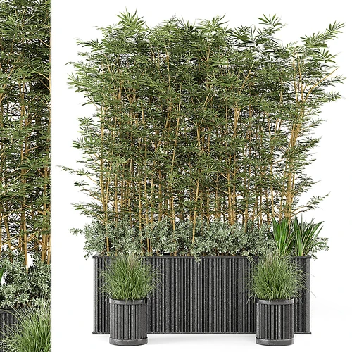 现代户外绿植盆栽