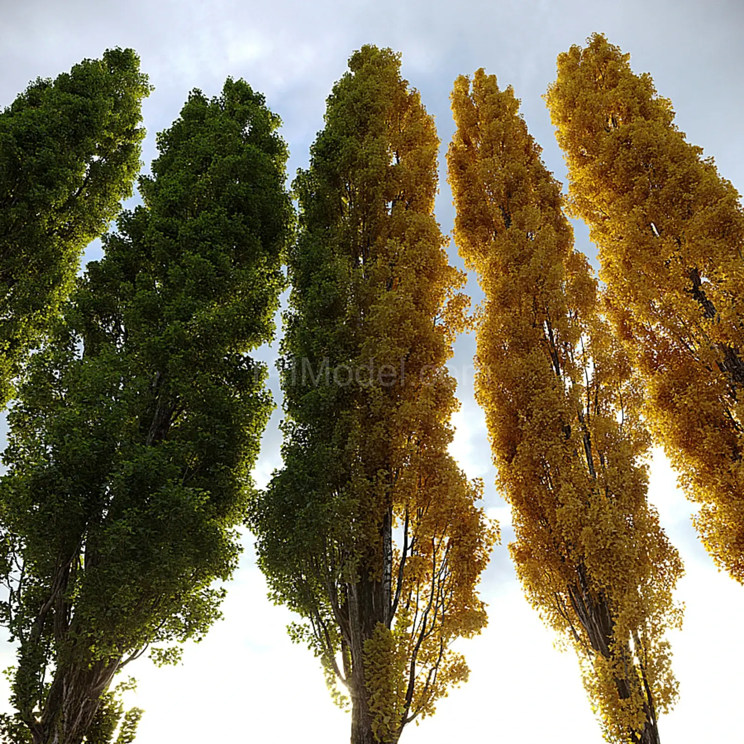 img2
