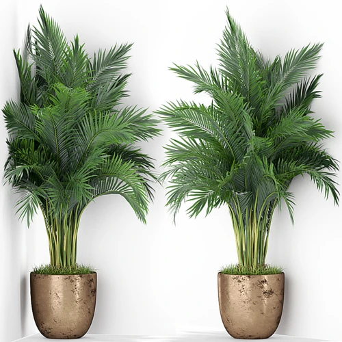 现代绿植盆栽