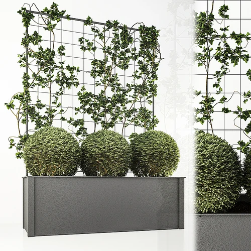 现代绿植盘栽植物墙
