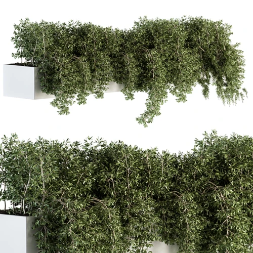 现代户外植物盆栽