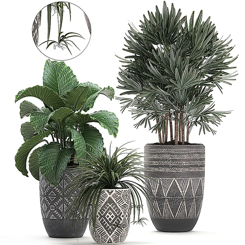 现代绿植盆栽