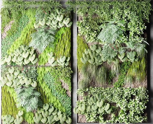 现代植物绿植花草壁挂植物墙