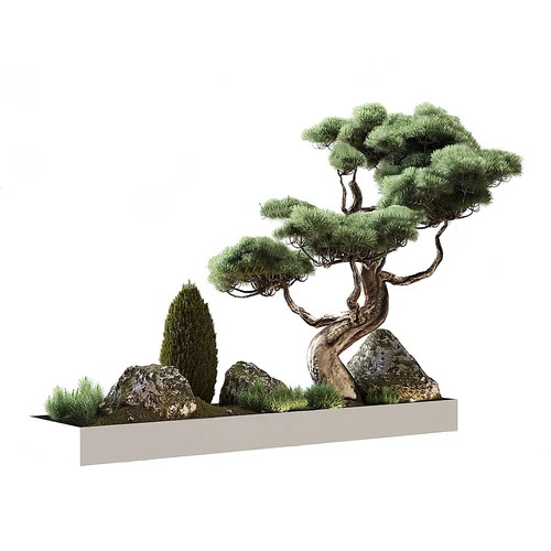 现代盆栽