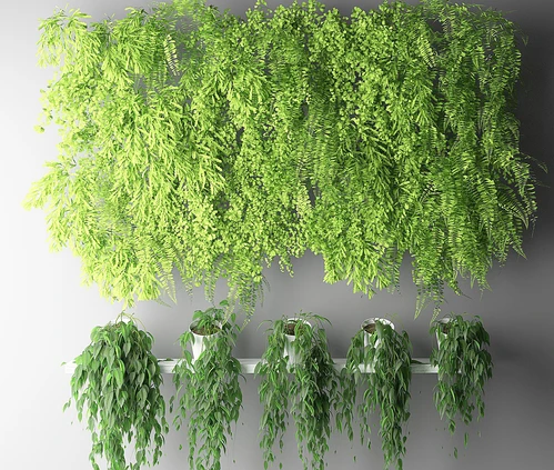 现代植物盆