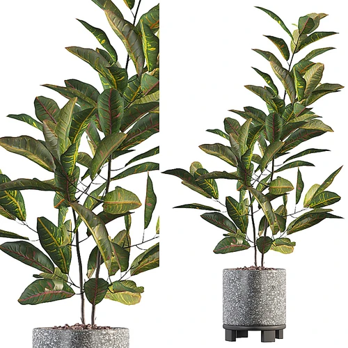 现代变叶木绿植盆栽3d模型