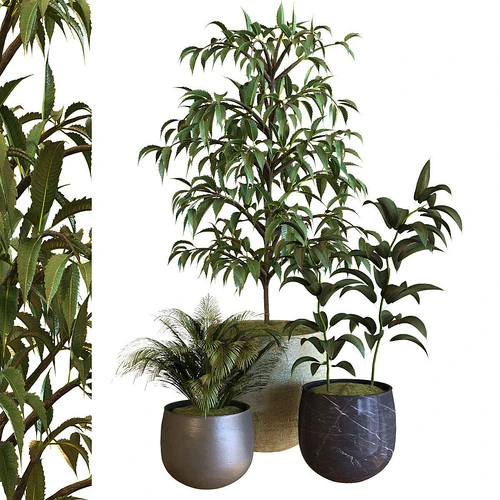 现代植物盆栽