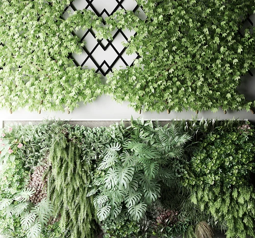 现代植物墙组合
