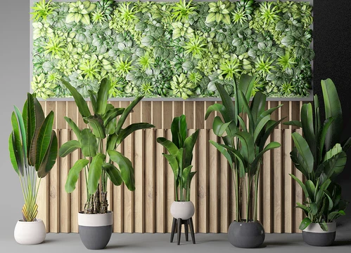 现代绿植盆栽盆景花草植物墙组合