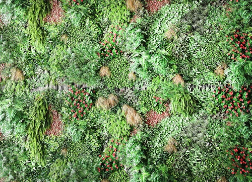现代绿植花草植物墙组合