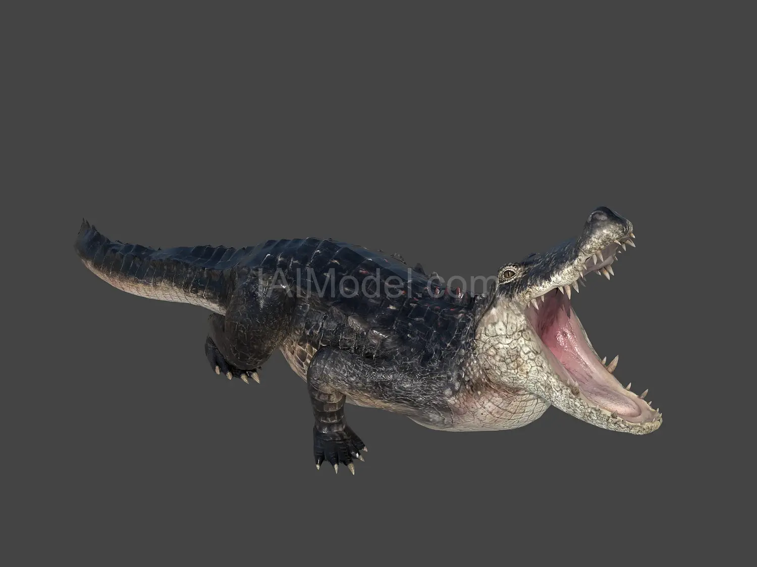 img2