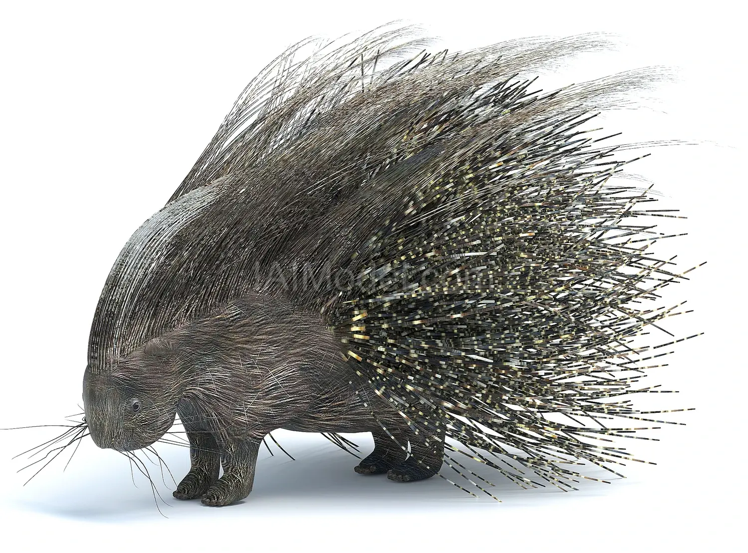img2