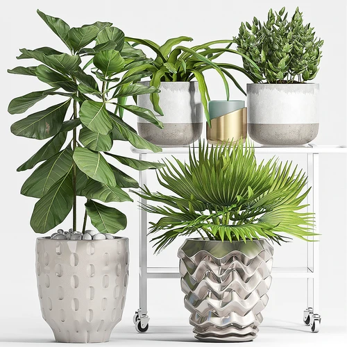 现代植物盆栽盆景组合
