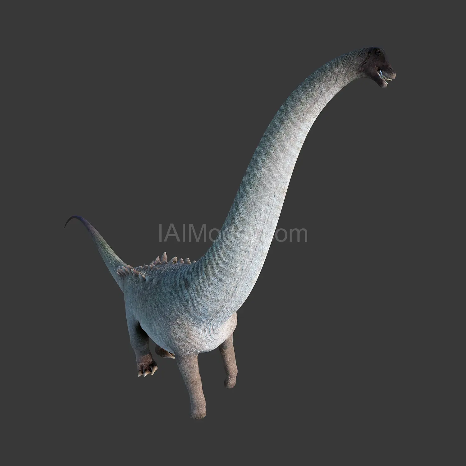 img1