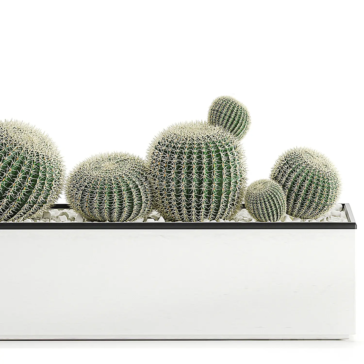 img3
