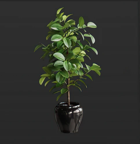 现代绿植盆栽