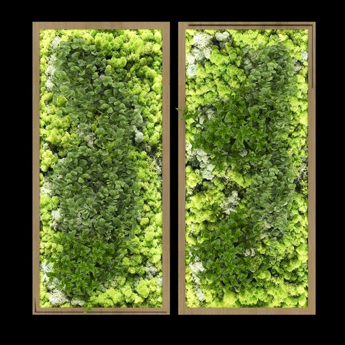 现代绿植墙植物墙