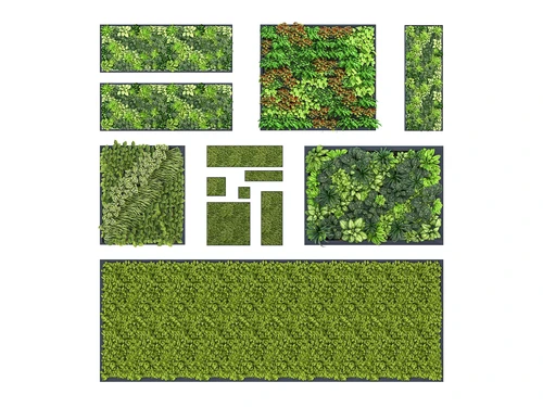 现代绿植墙植物墙