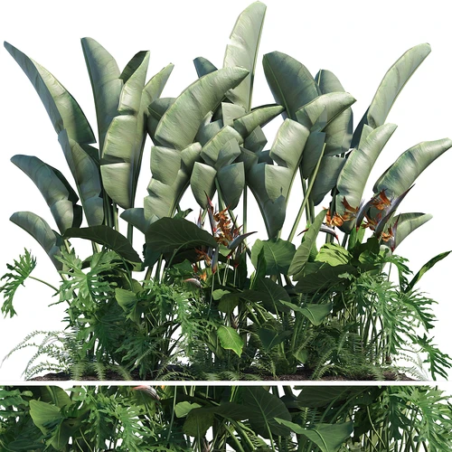 现代芭蕉叶绿植堆