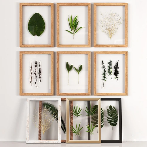 现代植物装饰挂画