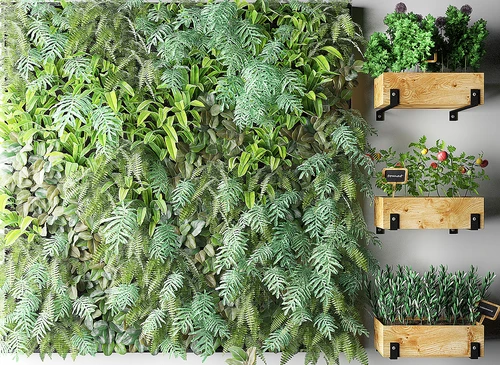 现代植物绿植花草组合