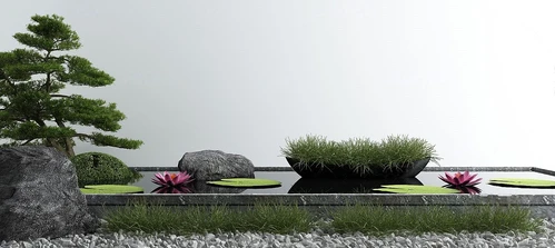 新中式松树荷花池水景小品