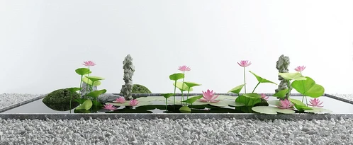 新中式荷花池水景小品