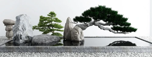 新中式松树水池小品