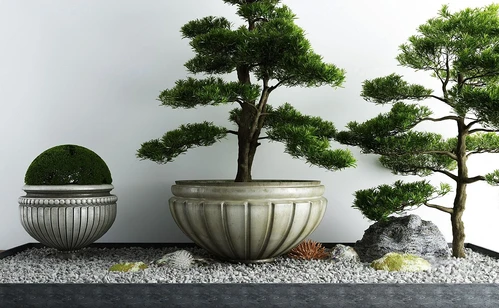新中式松树盆栽景观小品