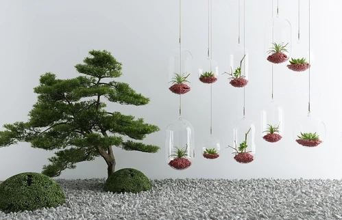 现代垂吊玻璃盆栽松树小品