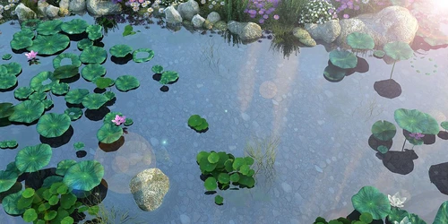 自然风荷花池景观