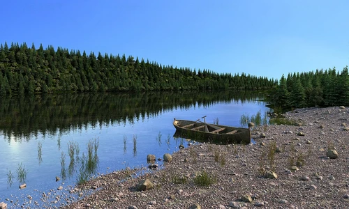 自然风河滩河流木船山林景观