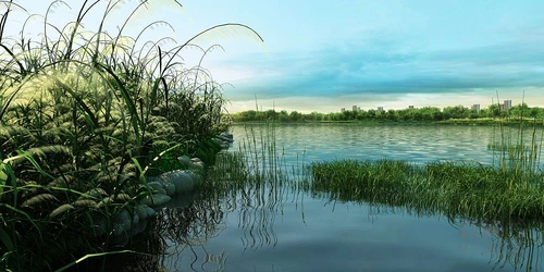 现代湿地公园园林景观