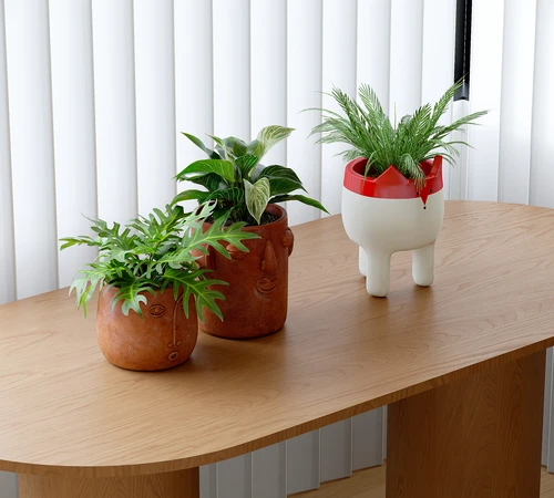 现代绿植盆栽