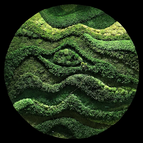 植物墙