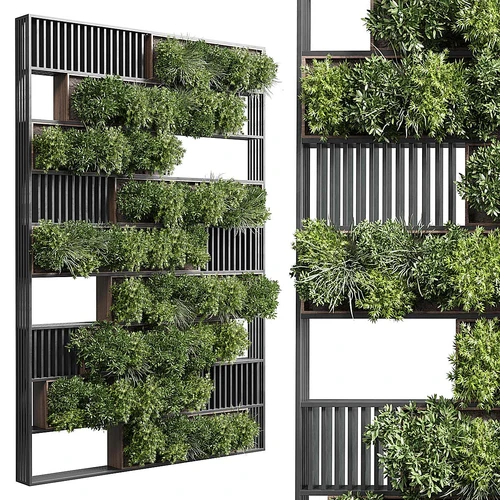 植物架