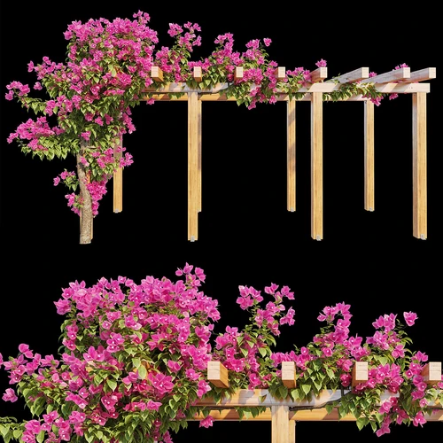 花架