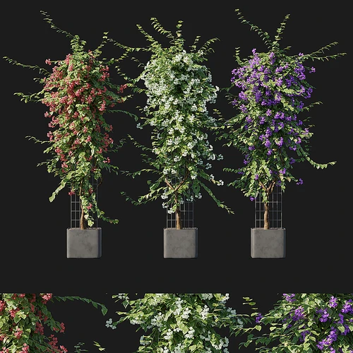 花艺盆景