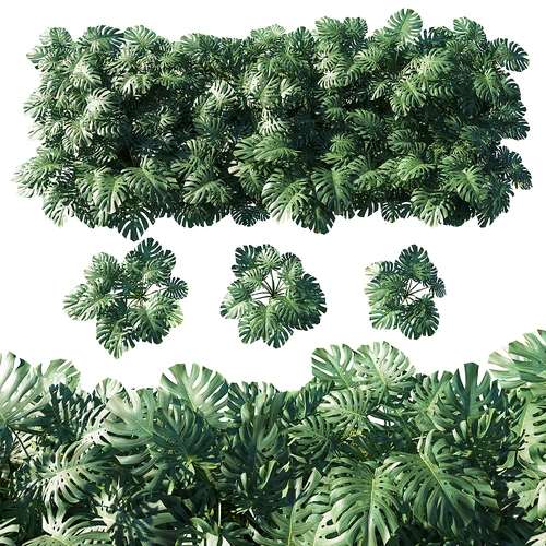 植物墙饰