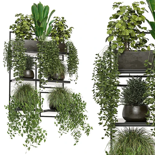 植物架
